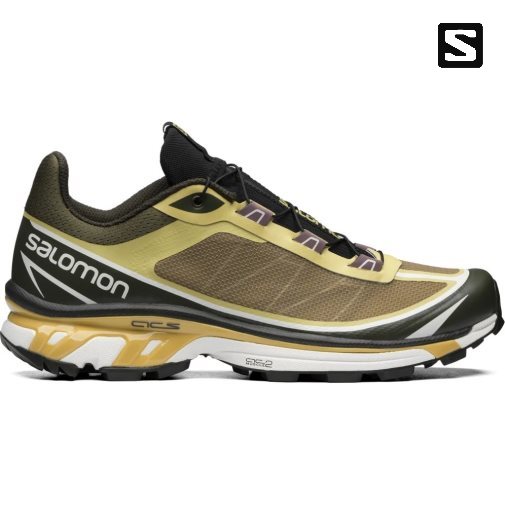 Tenis Salomon Xt-6 Ft Feminino Verde Oliva | PT T21768